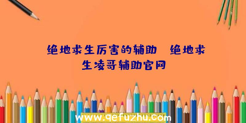 「绝地求生厉害的辅助」|绝地求生凌哥辅助官网